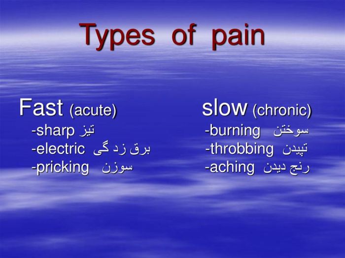 How to Diagnose 10 Types of Pain