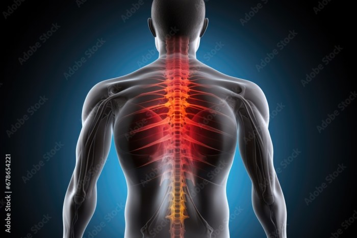 Diagnosing 3 Types of Back Pain