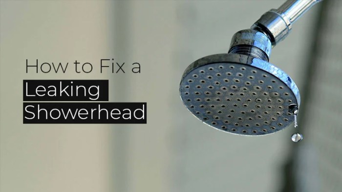 Leak leaking leaks checkatrade waterproofing Leak leaking leaks checkatrade waterproofing