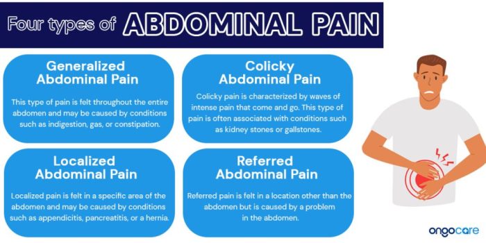 Abdominal pain types nursing medical belly common health abdomen lower quadrant left quadrants back stomach chart upper causes body organs Abdominal pain types nursing medical belly common health abdomen lower quadrant left quadrants back stomach chart upper causes body organs