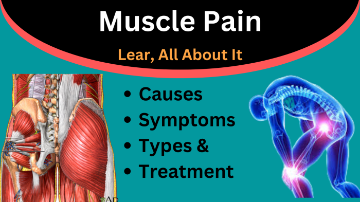 7 Common Causes of Muscle Pain and How to Diagnose Them