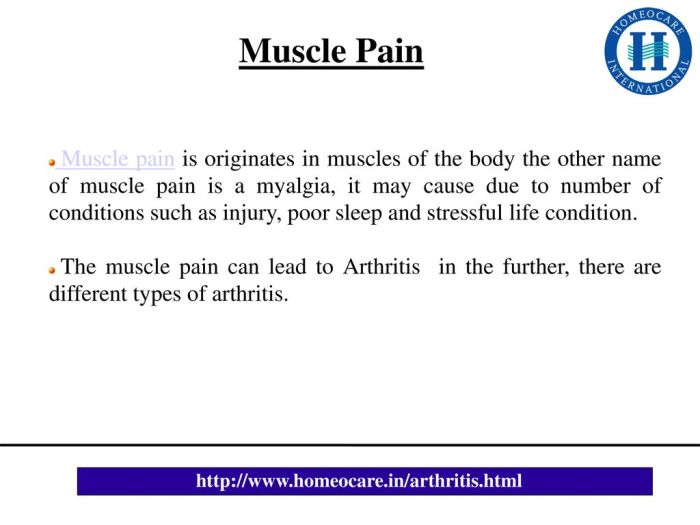 7 Common Causes of Muscle Pain and How to Diagnose Them