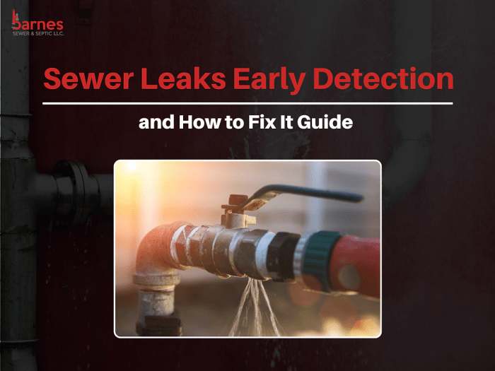 7 Methods to Diagnose a Leak in Your Sewer Line