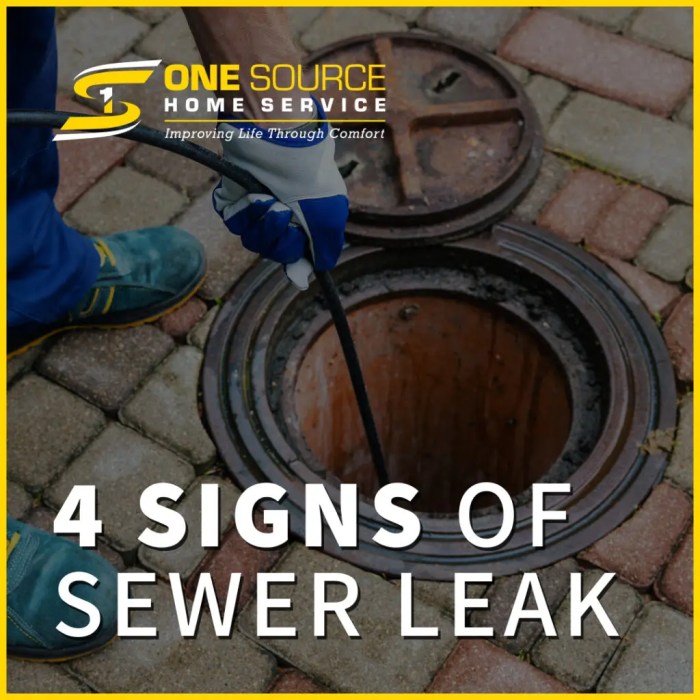 7 Methods to Diagnose a Leak in Your Sewer Line