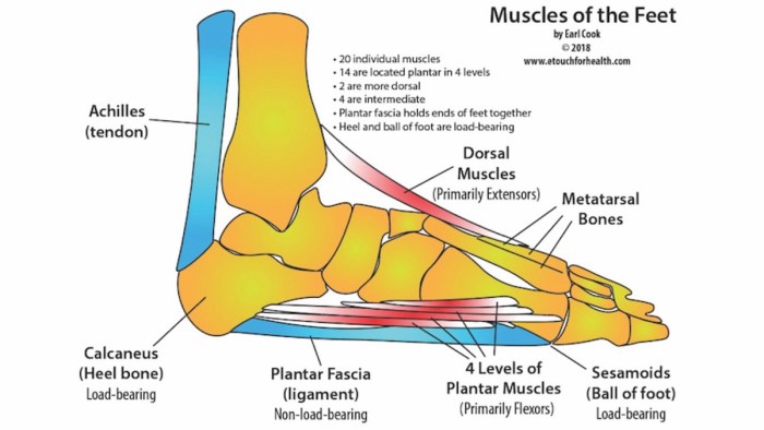 Diagnosing 3 Types of Foot Problems