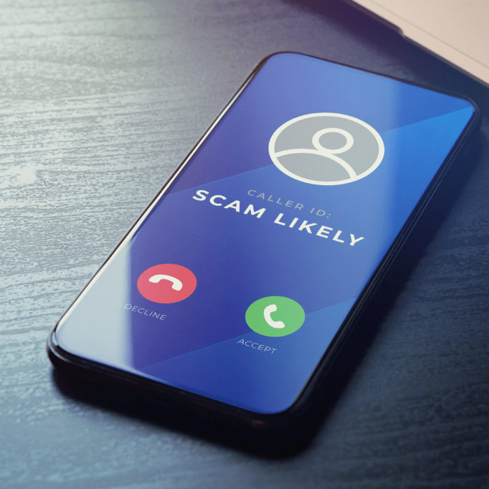 9 Tips to Diagnose and Prevent Online Scams