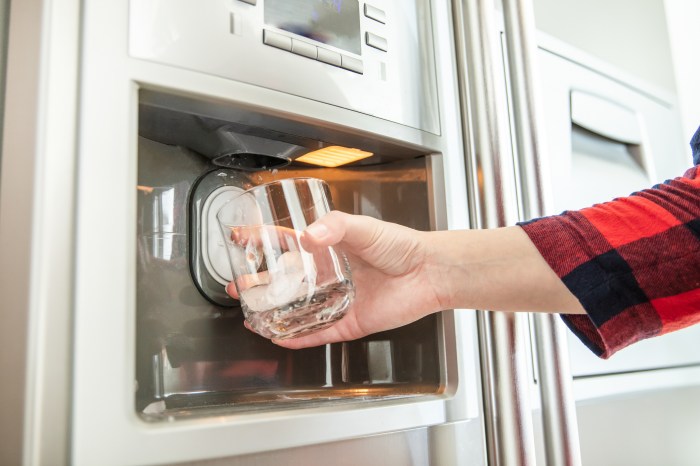 6 Troubleshooting Steps for a Malfunctioning Ice Maker