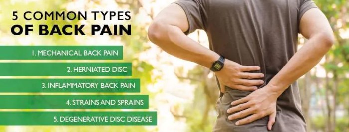 Diagnosing 3 Types of Back Pain